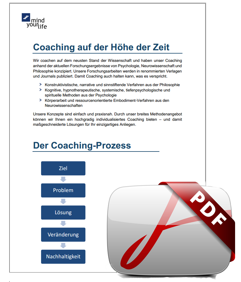 Coaching-Prozess-Schaubild-PDF