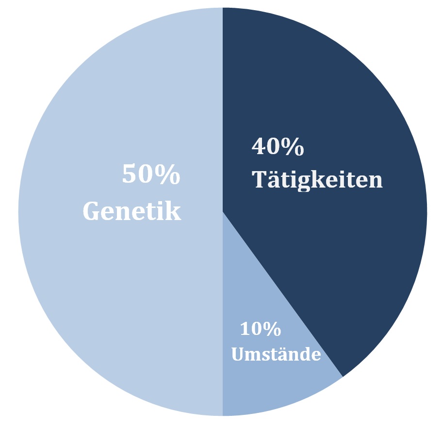 Glück Diagramm