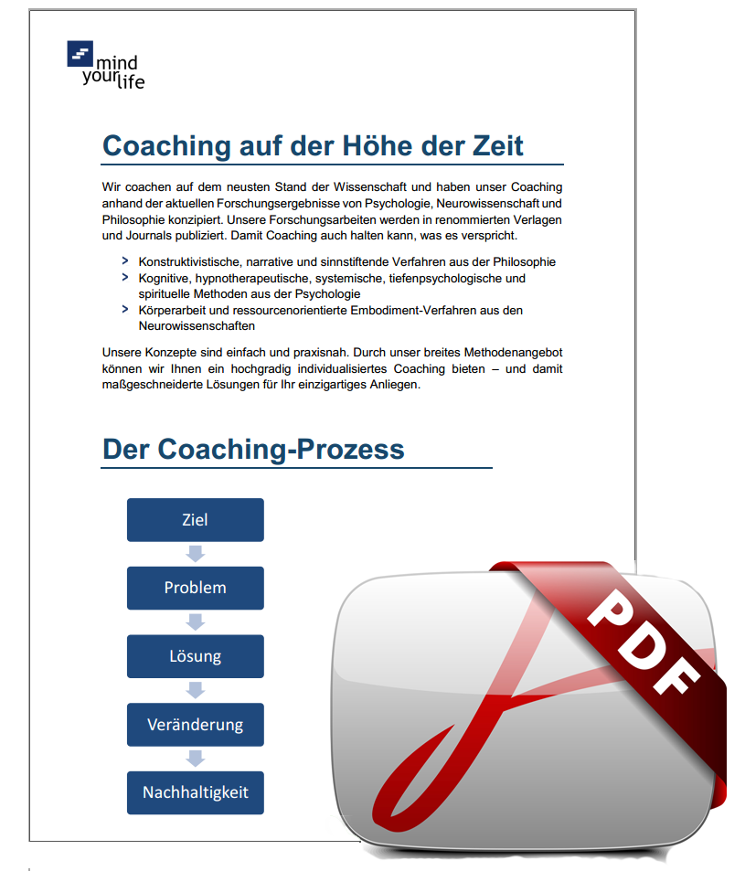 einzelcoaching prozess pdf