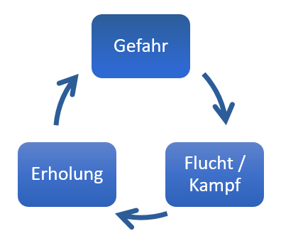 stress buch stress-zyklus