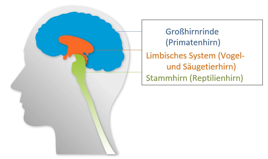 gefühle