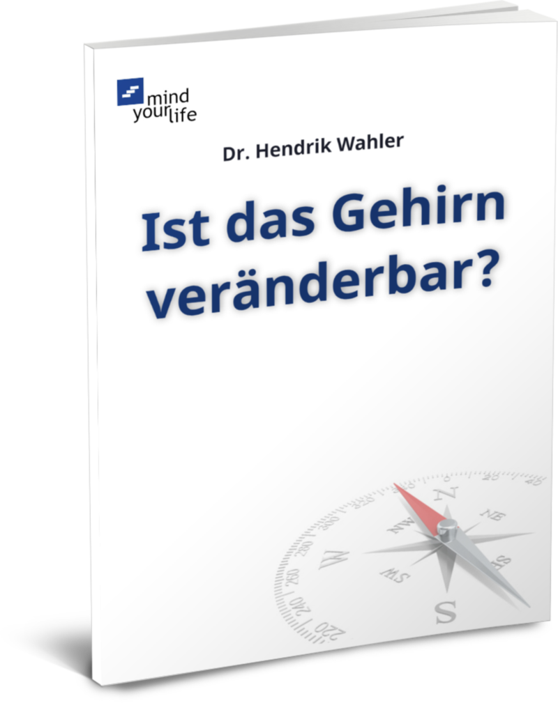 gehirn veränderbar