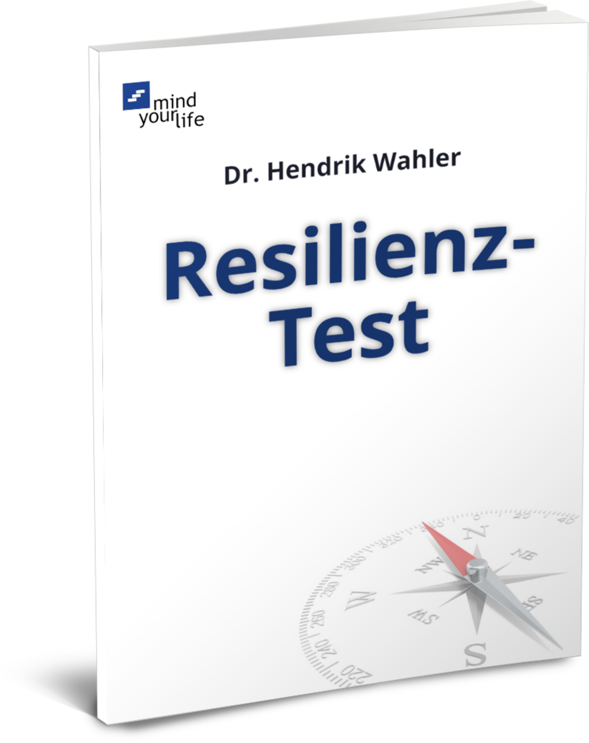 resilienz test pdf