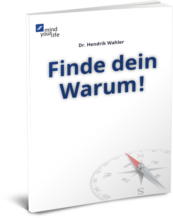 sinn des lebens finde dein warum pdf