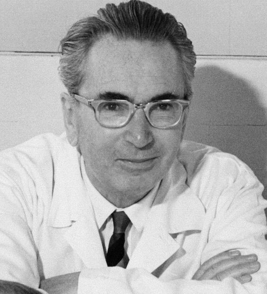 sinn des lebens viktor frankl